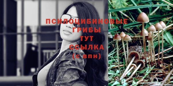 MDMA Беломорск