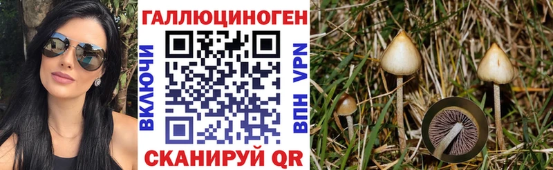 Псилоцибиновые грибы мицелий  Северск 